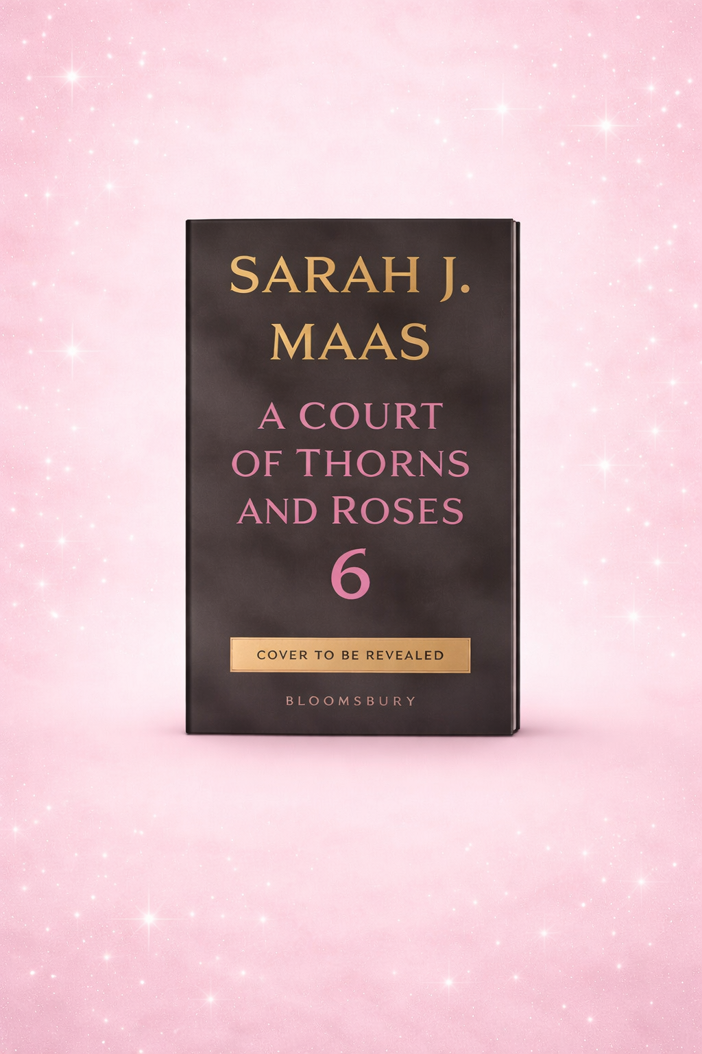 A Court of Thorns and Roses Book 6 (Preorder)🌹